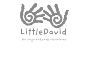 Little David